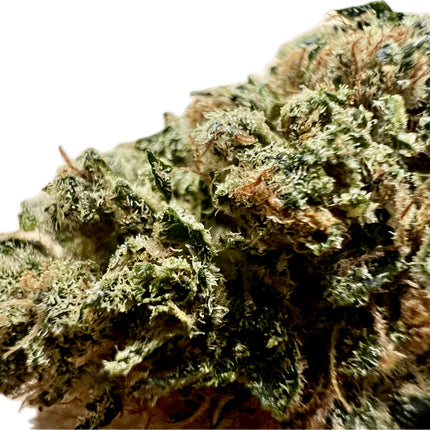 Ripkitty Indoor Big Apple Jack CBD Hemp Flowers