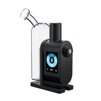 Modül + Dok Concentrate Bundle