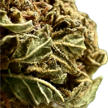 Ripkitty Crack Smuggler THCA Hemp Flowers