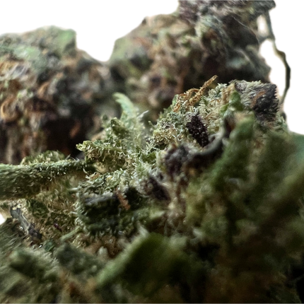 Ripkitty Legendary Platinum OG CBD Hemp Flowers