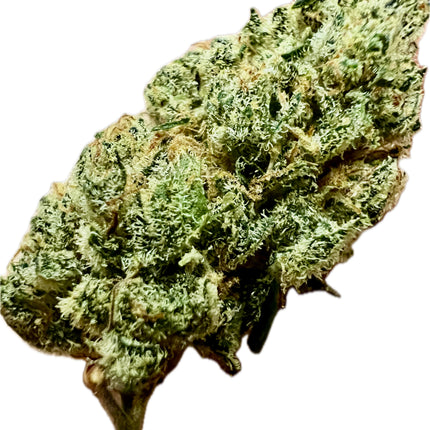 Ripkitty Indoor Big Apple Jack CBD Hemp Flowers