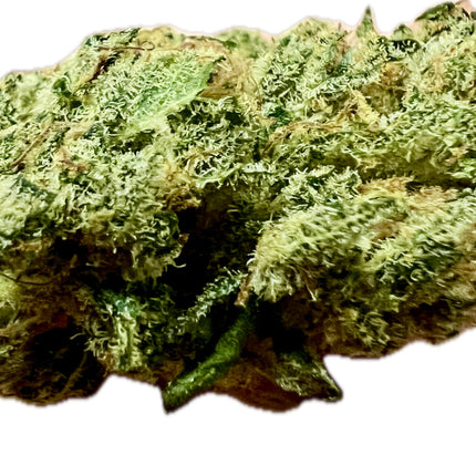 Ripkitty Indoor Big Apple Jack CBD Hemp Flowers