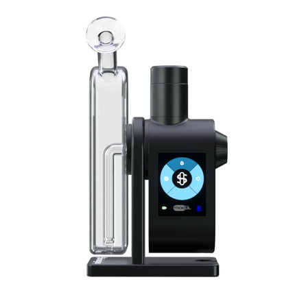 Modül + Dok Dry Material Bundle