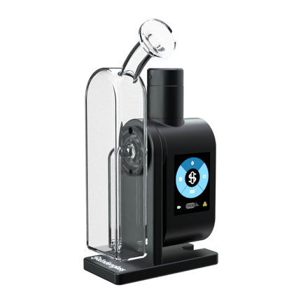 Modül + Dok Concentrate Bundle