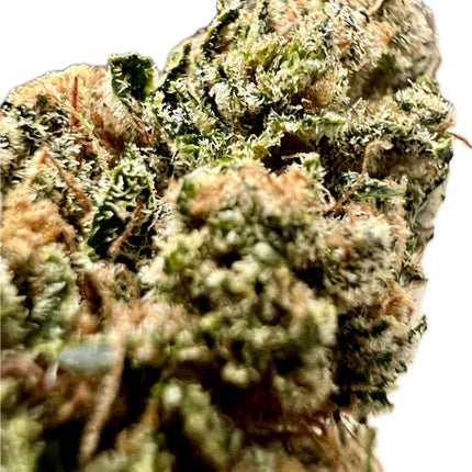 Ripkitty Indoor Big Apple Jack CBD Hemp Flowers