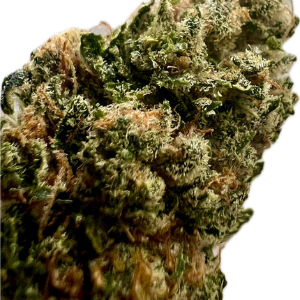 Ripkitty Indoor Big Apple Jack CBD Hemp Flowers